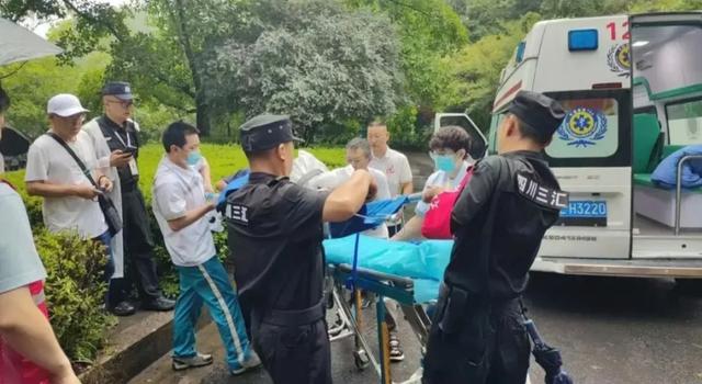 高温之下乐山景区有“凉”策：“硬核科技+温柔守护”宠游客