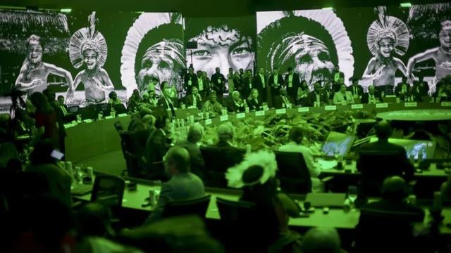 迄今世界第一大蛛网：106平米，11万只蜘蛛的家