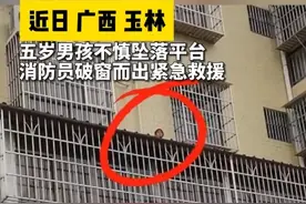 广西玉林：一5岁男孩在家中阳台玩闹时不慎坠楼，掉到三楼外小平台被困，消防紧急救援图片