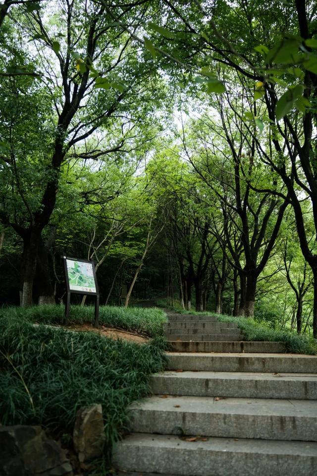 张家港很火的「线路」，后悔没早点去打卡