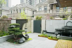 现代风小院子植物怎么设计？来个实景案例解析一波图片