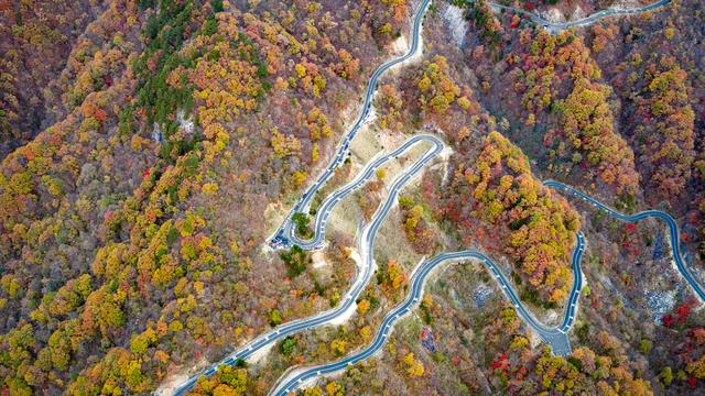 山道弯弯秋色浓