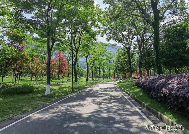 成都市内乘凉公园，风景秀美、清凉，不要门票，地铁公交可达！