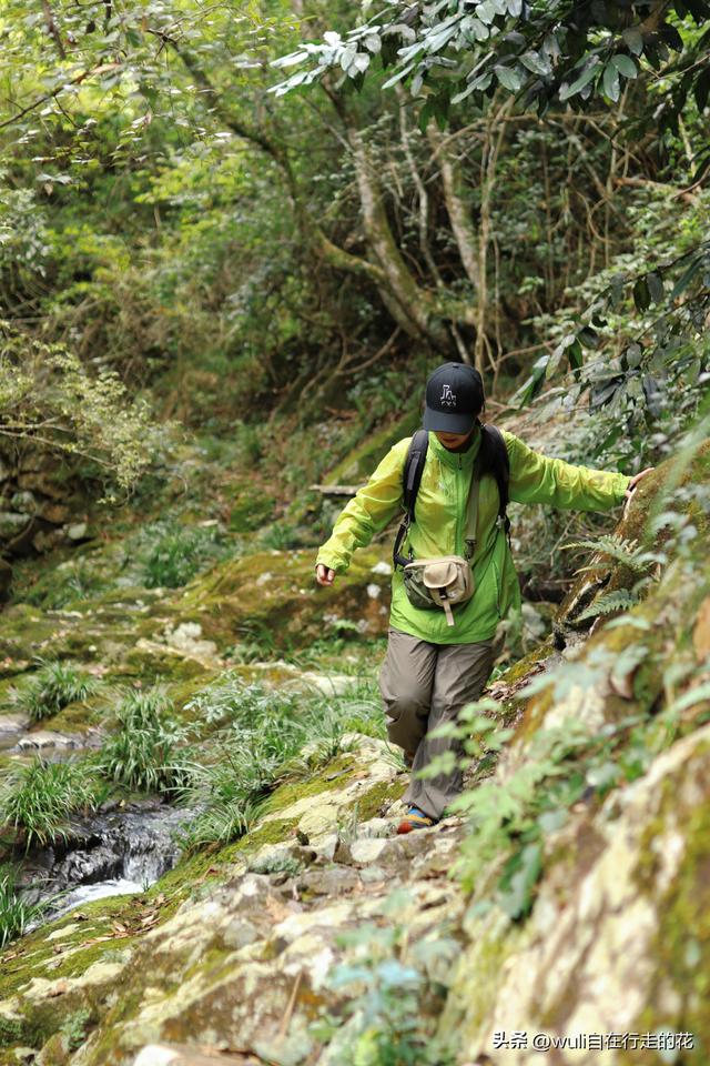 强推！！超治愈的徒步露营地，就在福州闽侯
