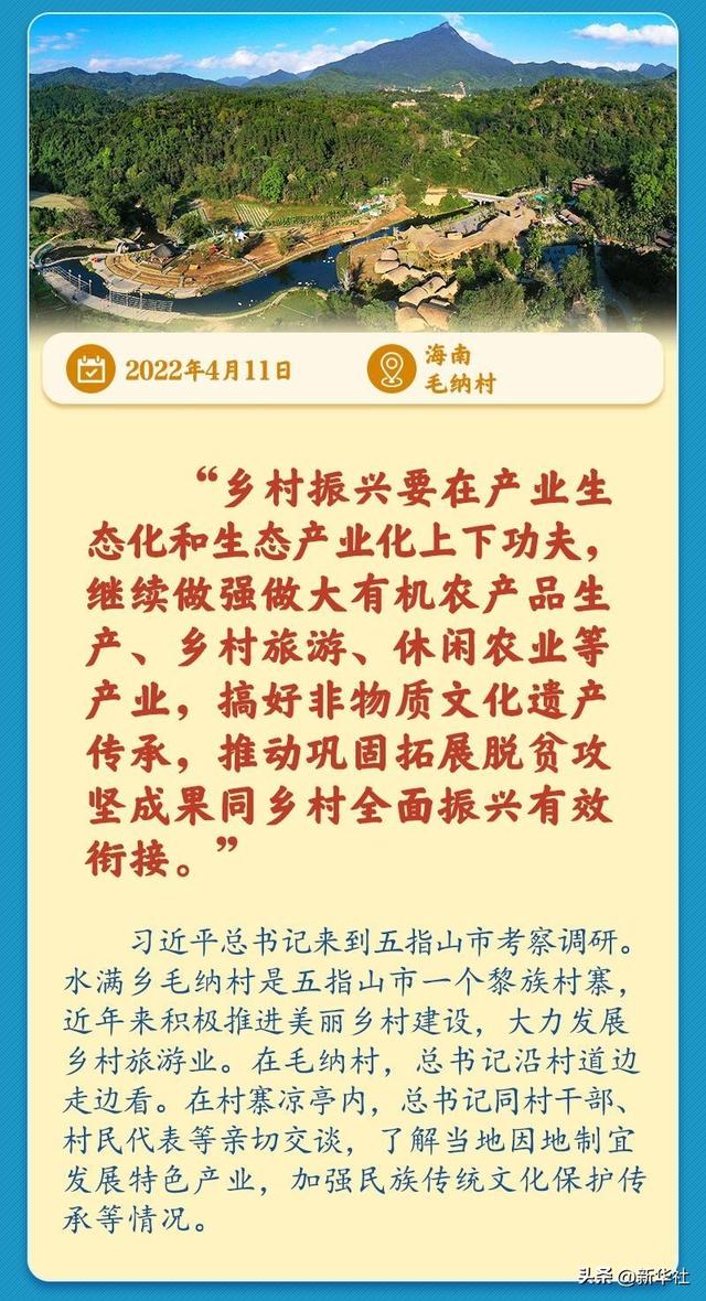 学习新语｜总书记引领推动乡村振兴迈出坚实步伐