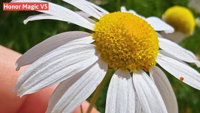 德国实测荣耀 Magic V5：235 款手机中第 16，2 款最佳折叠机之一