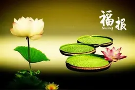 娶到这几种妻子，其实，是男人的福报！图片