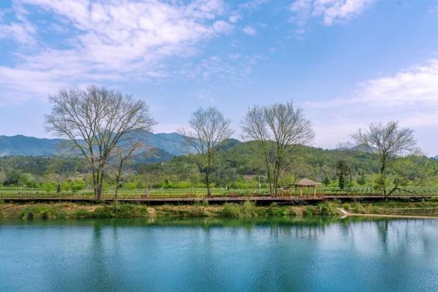逛不停的茶博会|我们都超期待的茶博会逛展攻略，它来了！