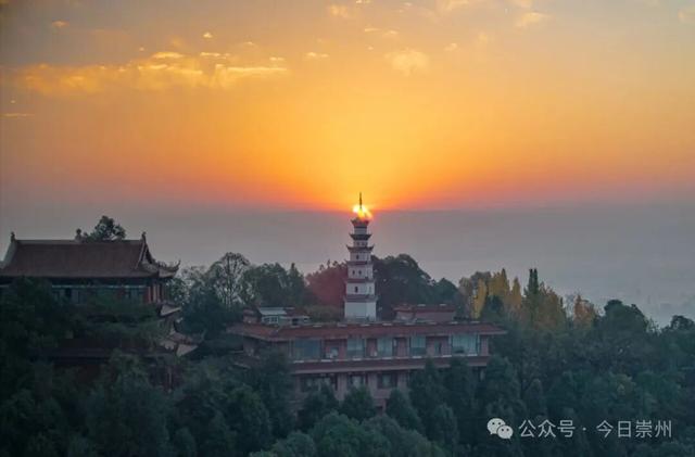 速来→崇州正上演初冬金色浪漫大片！