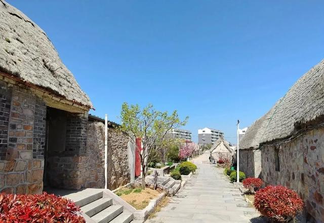 山东荣成：天鹅与海鸥齐飞，这座低调滨海城，藏着北纬37°的浪漫