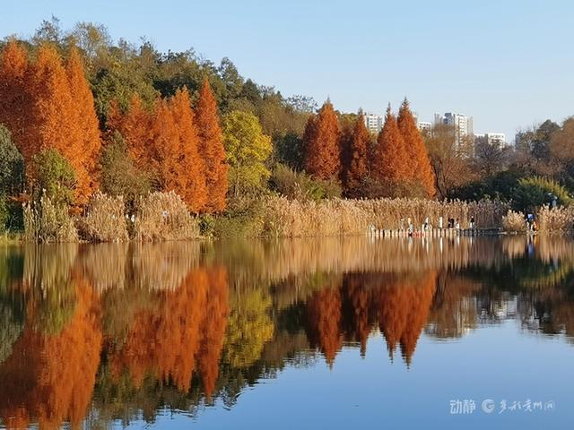 冬日暖阳下，打卡贵阳观山湖公园的绝美风景
