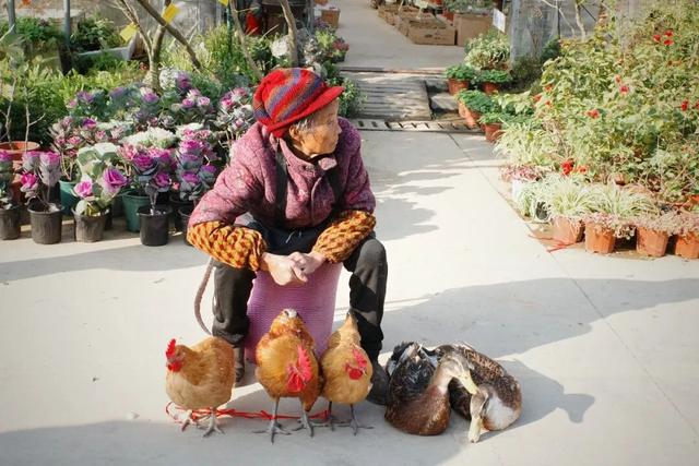 又挖到一座冷门宝藏小城，这次真给我玩嗨了