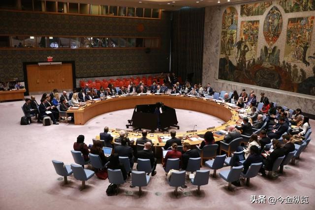 加沙女护士血泪控诉：300万人的炼狱，为何"停火"成了最大谎言？