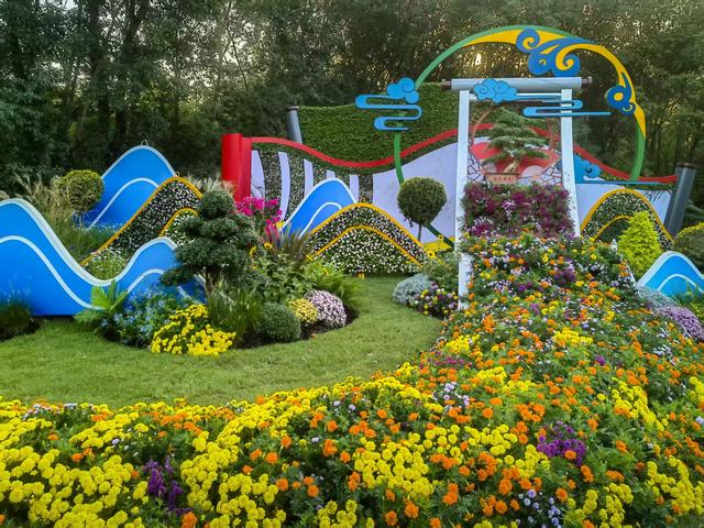 11月30日:2025年上海菊花展华丽登场