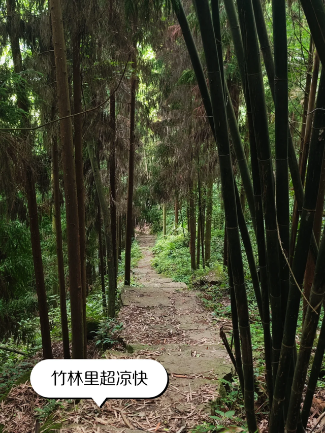 彭州法藏寺||斋饭、喝茶、书法、轻徒步，周末一日游超巴适