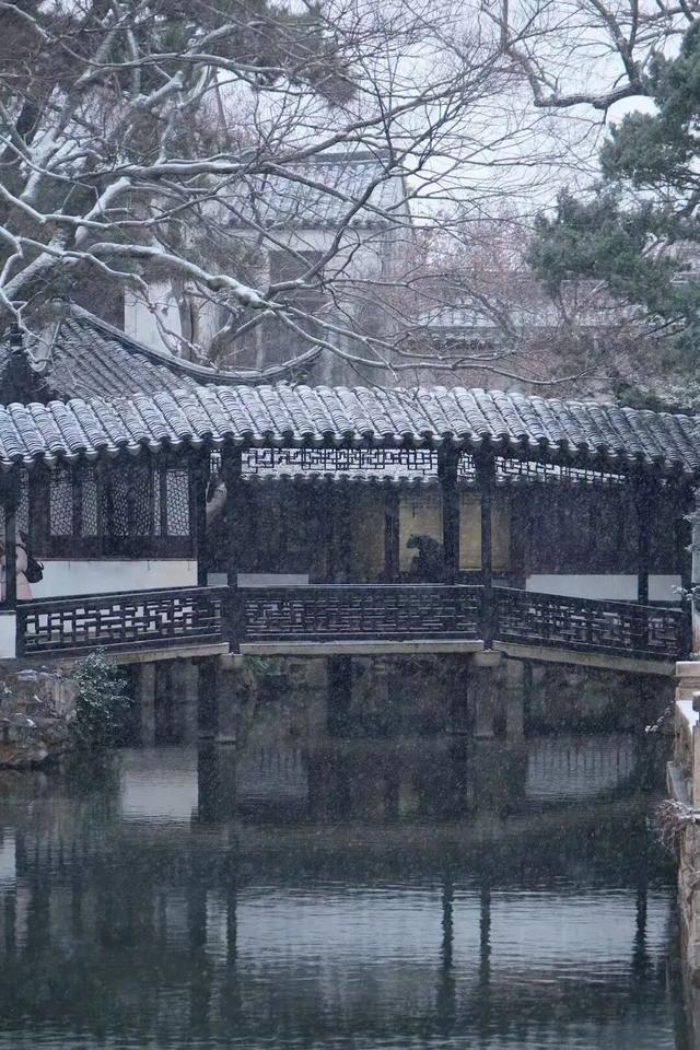 2026年的一场纯雪，让苏州一夜变成了姑苏！