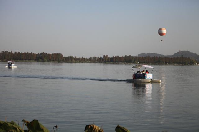 深秋东湖：江城文脉里的层林尽染