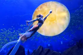 当传统文化与海洋深度融合——郑州海昌海洋公园以国潮符号引爆中秋假期，开启山海国潮季图片