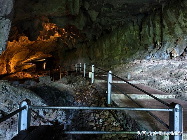 马来西亚(29)砂拉越州③姆鲁山清水洞·风洞