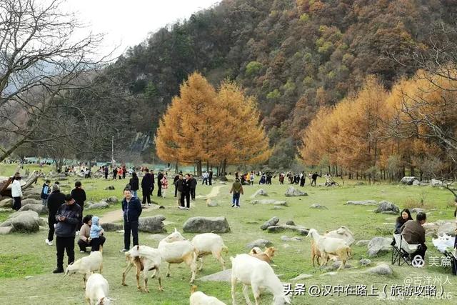 超出片！快来这里捕捉汉中秋色！