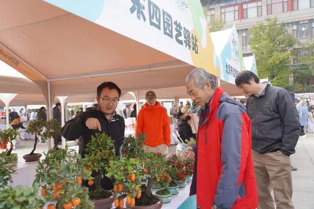 古树年轮里的故事，石景山等您来赴约