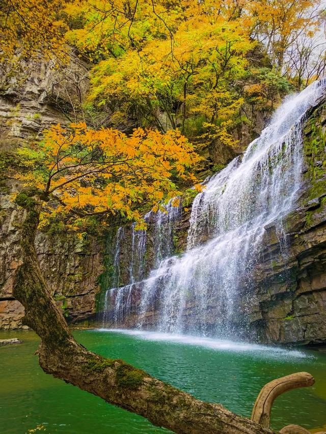 赏秋正当时!自驾来汉中,赴一场秋日视觉盛宴~