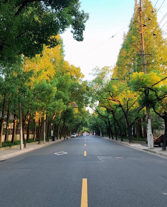 天啊！我发现了上海最“寂寞”的公园，免费还地铁直达！
