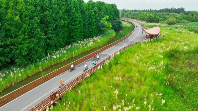 冬之云南 快意驰骋|新霞客·旅居记