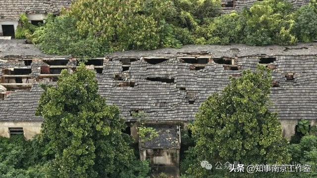 「转载」隐匿在南京老山的生化残城