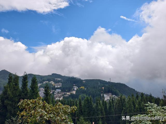 四川行(73)什邡红枫岭徒步到钟鼎寺