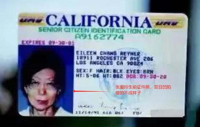 75岁张爱玲死在行军床上，满屋是用过的卫生纸，遗嘱：不许看遗体