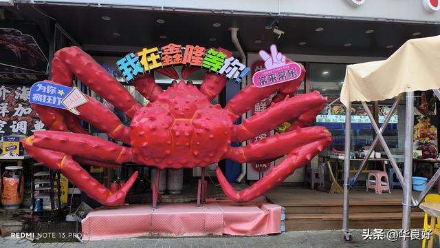 千元一蟹解馋念——寻北之旅（二十六）