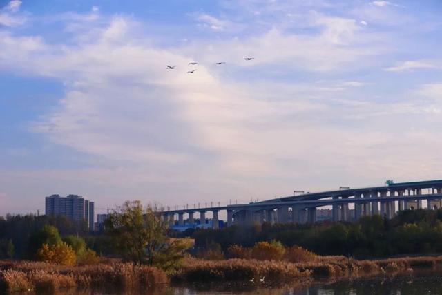 一湖初冬色，半城清欢美——三门峡苍龙湖的冬日盛景