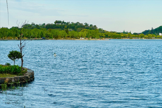 南北湖踏春，穿梭于依山傍水的油菜花海！