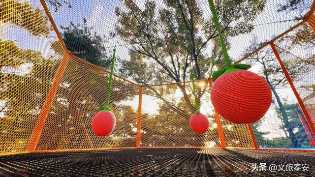 手慢无！免费玩！海拔最高的丛林绳网穿越——“凌霄云梦” 项目明日亮相新甫山景区