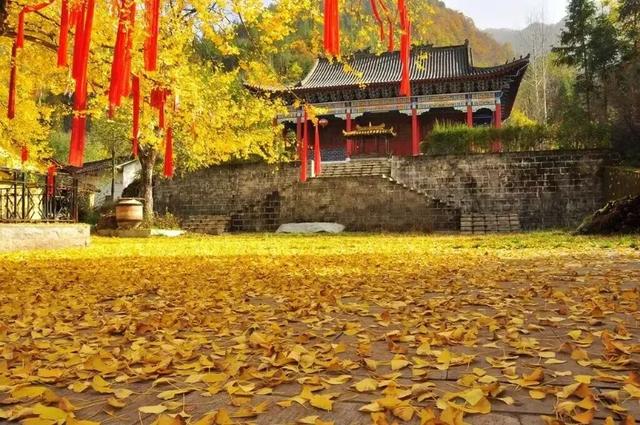 遇见金秋!来汉中,邂逅一场秋日山野浪漫之约!