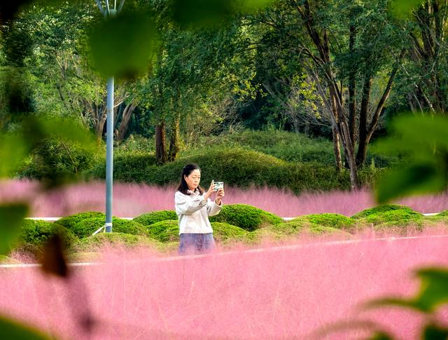 来啊！抓住粉黛小尾巴，错过再等一年！