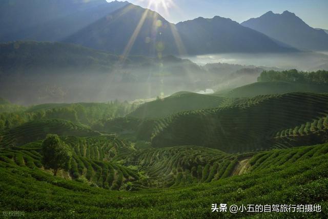 打工人反内耗！江西 6 地旅行指南，一卡通省门票
