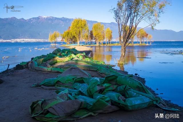 隐藏在洱海边的野营地很多,下关浅滩的土坝就挺有意思,游客罕至