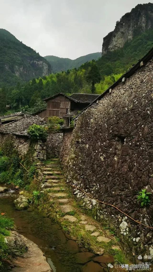 这座温州最具桃源的古村，避暑佳地，你可去过？
