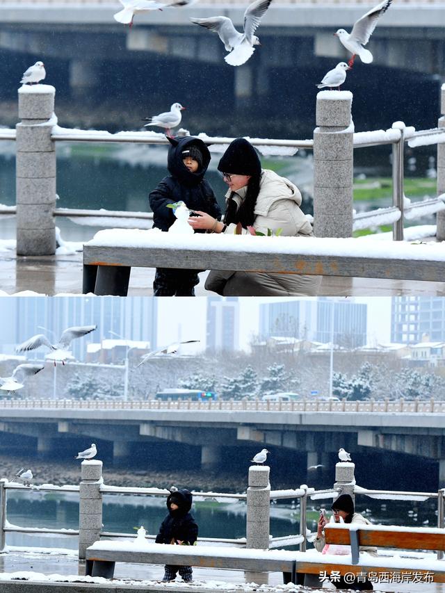 雪后西海岸，美成童话！