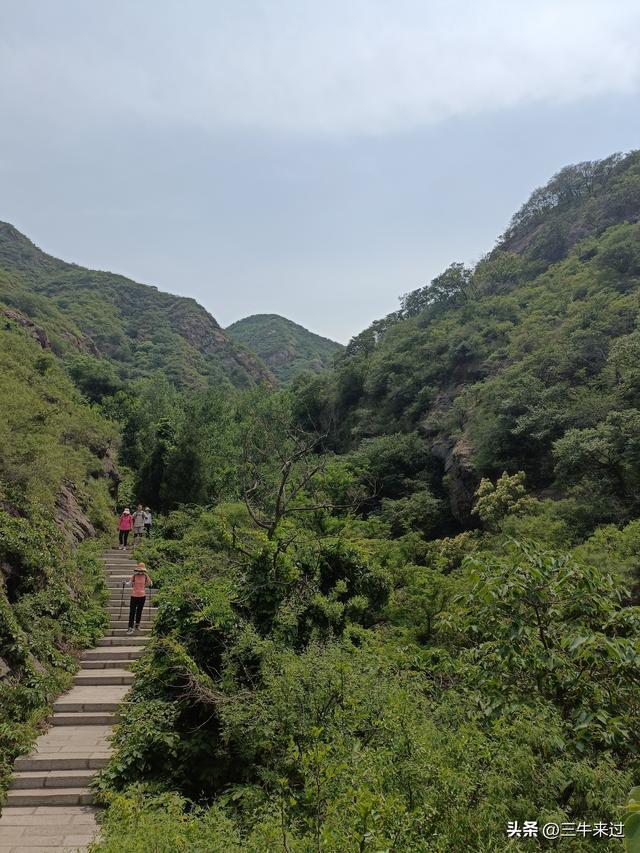 无为在歧路，2025之经行