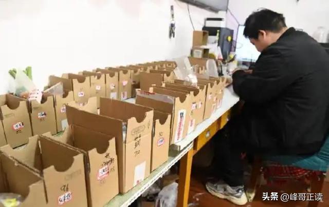 太卷了！在中国，已经无人敢跟河北人拼价格了，义乌也甘拜下风