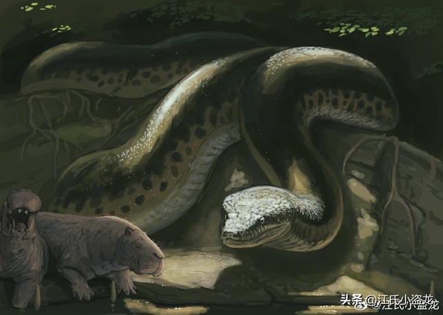 狂蟒之灾：地球生命史上的五大巨蛇全盘点！