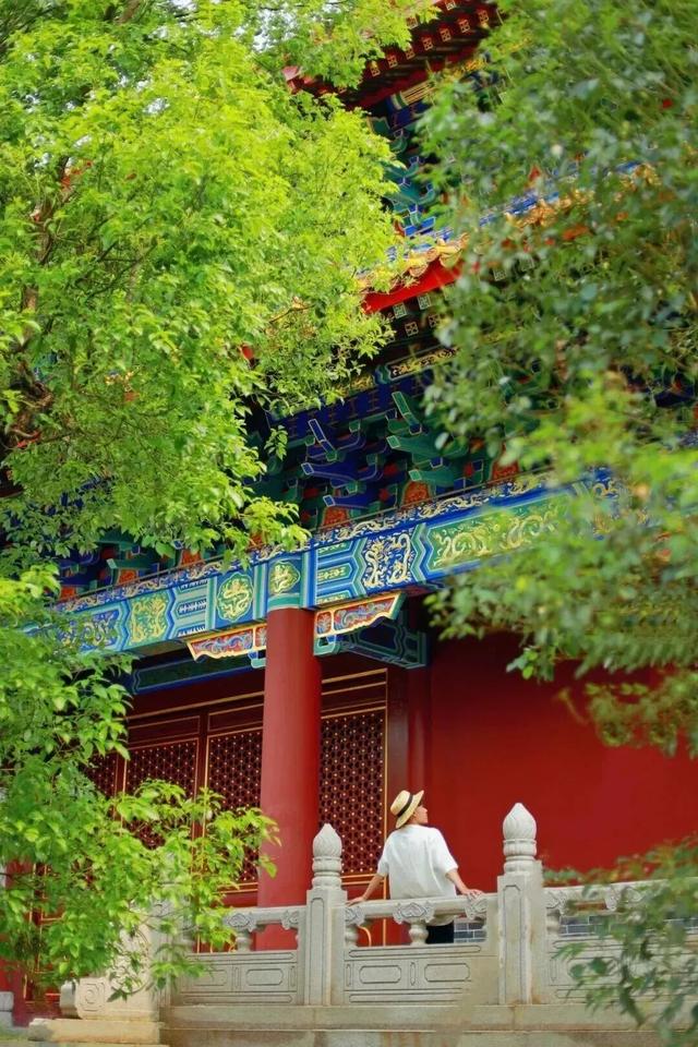 不用去故宫！在湛江也能打卡“红墙绿瓦”～