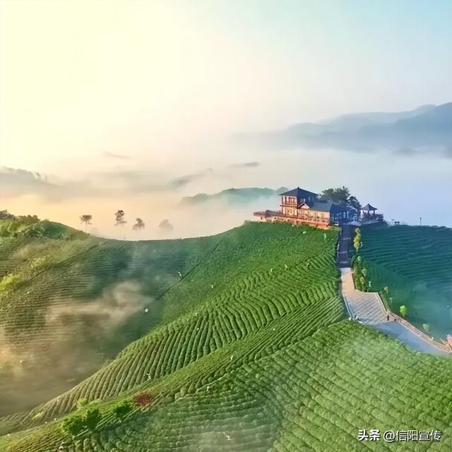 信阳冬季的N种打开方式，总有一种让你心动