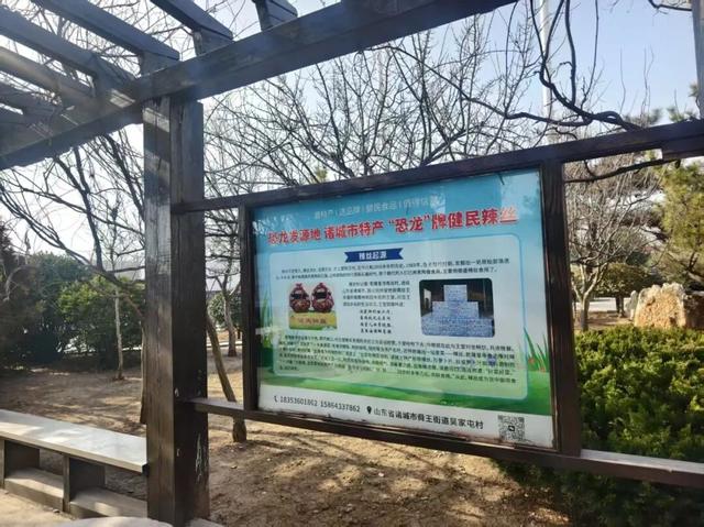 揭秘！诸城服务区为何能成为旅途中的“神秘打卡地”？