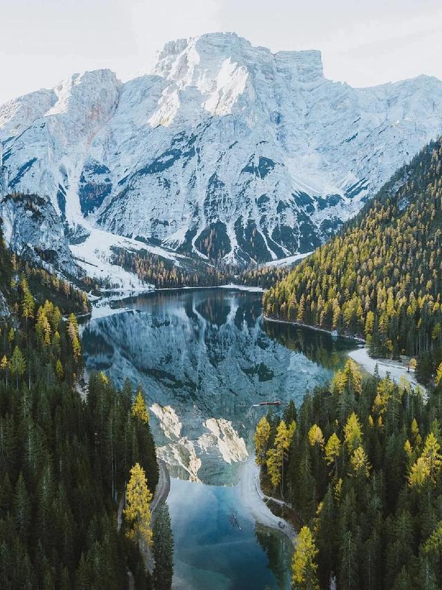 你当像鸟，飞往你的山⛰️美图壁纸