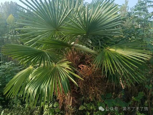 光山文殊寺,秋日的宁静与闲适