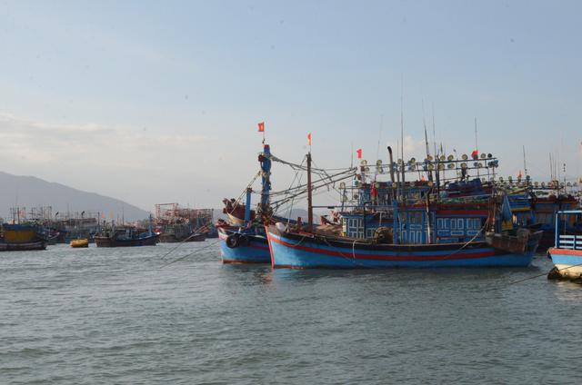 在越南美食共享，舌尖狂欢！让你的“盘中珍馐”传递快乐